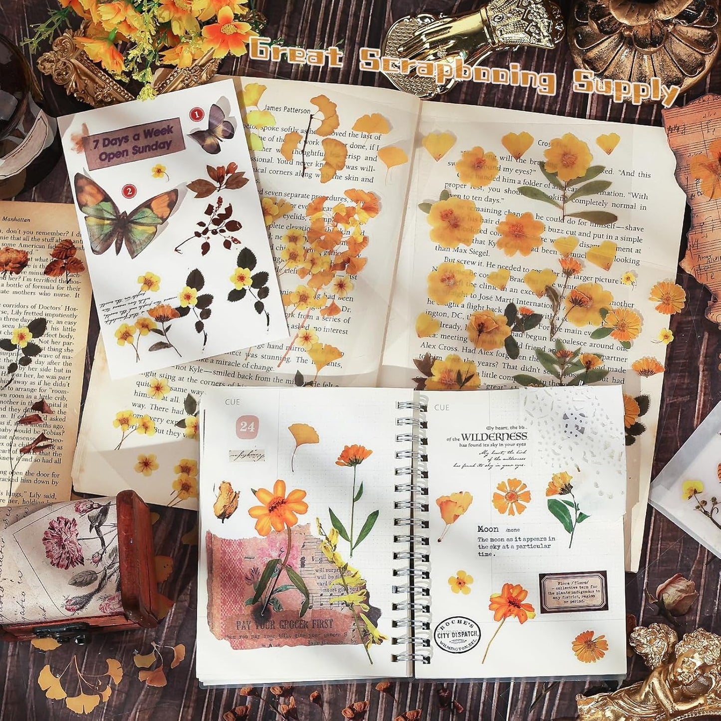 100 PCS Vintage Collection Postcard Set Botanical Butterfly Flower Mushroom Nature Postcards