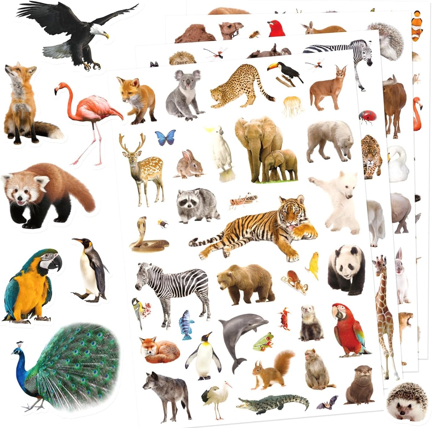 100 PCS Woodland Wild Animal Stickers Party Favors Gifts Stickers