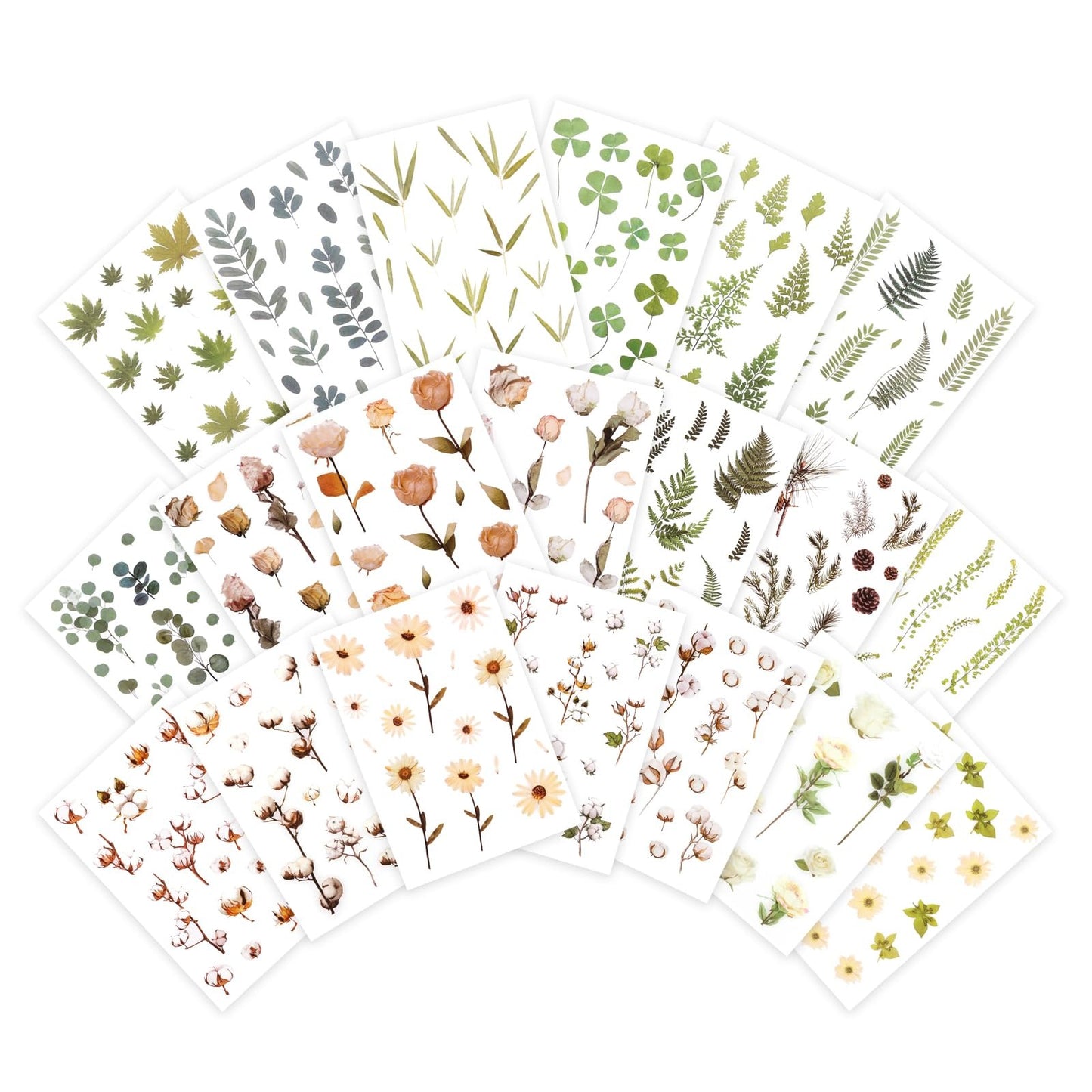100 PCS Vintage Collection Postcard Set Botanical Butterfly Flower Mushroom Nature Postcards
