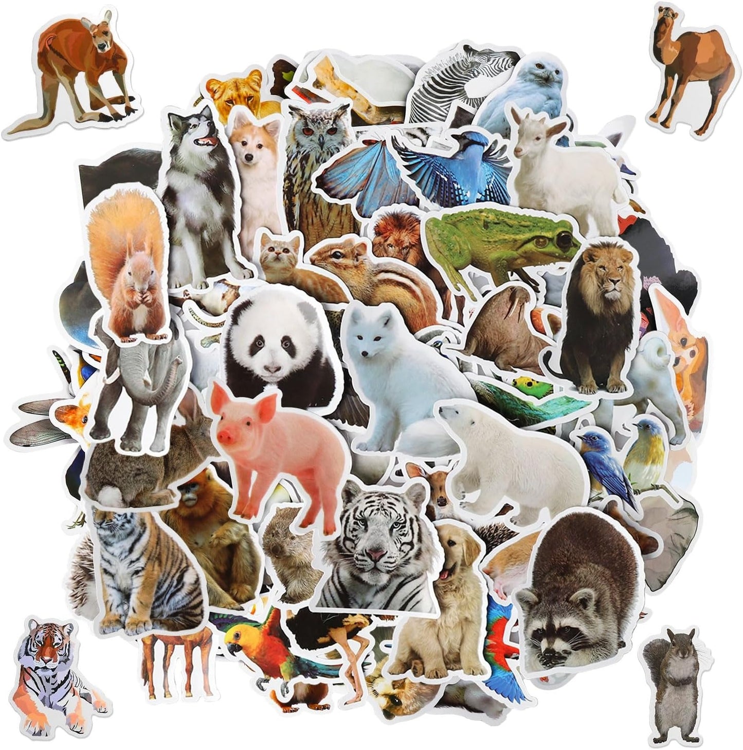 100 PCS Woodland Wild Animal Stickers Party Favors Gifts Stickers