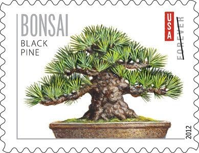 Bonsai Tree Forever Collection – Timeless Botanical Elegance for Everyday & Special Occasions 100pcs/Pack (20pcs/Booklet)