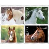 Horses Stamps 2024 First-Class Postage USPS Forever Stamps 100pcs/Pack (20PCS/Booklet)