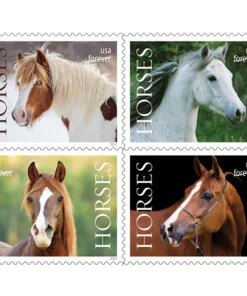Horses Stamps 2024 First-Class Postage USPS Forever Stamps 100pcs/Pack (20PCS/Booklet)