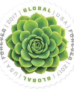 2017 USPS Global Green Succulent International First-Class Postage USPS Forever Stamps 100pcs/Pack (10PCS/Booklet)