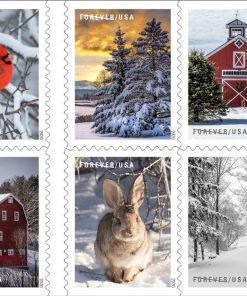 2020 US 'Winter Scenes' First-Class Postage USPS Forever Stamps 100pcs/Pack (20PCS/Booklet)