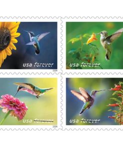 Garden Delights Stamps 2024 First-Class Postage USPS Forever Stamps 100pcs/Pack (20PCS/Booklet)