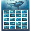Shark one Ounce Ecotourism Conservation Preservation Ecology Nature First-Class Postage USPS Forever Stamps 100pcs/Pack (20PCS/Booklet)