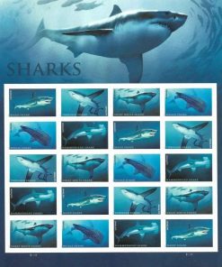 Shark one Ounce Ecotourism Conservation Preservation Ecology Nature First-Class Postage USPS Forever Stamps 100pcs/Pack (20PCS/Booklet)
