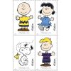 Charles M. Schulz Stamps 2022 First-Class Postage USPS Forever Stamps 100pcs/Pack (20PCS/Booklet)