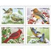 Songbirds in Snow 2016 First-Class Postage USPS Forever Stamps 100pcs/Pack (20PCS/Booklet)