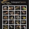 Endangered Species Animal Bird Fish Duck Wildlife Habitat Announcement Celebrate Anniversary Wedding 2023 USPS First-Class Mail Postage Forever Stamps 100pcs/Pack (20PCS/Booklet)