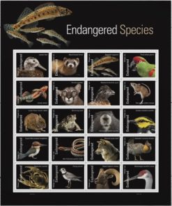 Endangered Species Animal Bird Fish Duck Wildlife Habitat Announcement Celebrate Anniversary Wedding 2023 USPS First-Class Mail Postage Forever Stamps 100pcs/Pack (20PCS/Booklet)