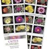 Cactus Flowers USPS First-Class Mail Forever Postage Stamps 100pcs/Pack (20PCS/Booklet)