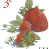 Strawberries 2017 3-Cent Definitive Denominated Mail-Use Additional Forever Stamps First-Class Postage USPS Forever Stamps 100pcs/Pack (20PCS/Booklet)