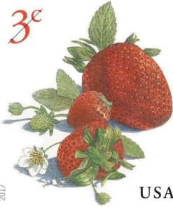 Strawberries 2017 3-Cent Definitive Denominated Mail-Use Additional Forever Stamps First-Class Postage USPS Forever Stamps 100pcs/Pack (20PCS/Booklet)