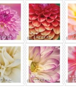 Dahlias 2025 First-Class Mail Postage Forever Stamps 100pcs/Pack (20PCS/Booklet)