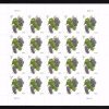 2017 Grapes 5 Cent First-Class Postage USPS Forever Stamps 100pcs/Pack (20PCS/Booklet)