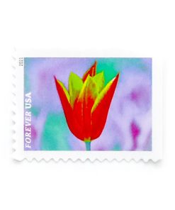 2021 U.S. Garden Beauty First-Class Postage USPS Forever Stamps 100pcs/Pack (20PCS/Booklet)