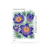2022 US Mountain Flora First-Class Postage USPS Forever Stamps 100pcs/Pack (20PCS/Booklet)