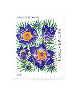 2022 US Mountain Flora First-Class Postage USPS Forever Stamps 100pcs/Pack (20PCS/Booklet)