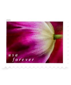 2023 Tulip Blossoms US First-Class Postage USPS Forever Stamps 100pcs/Pack (20PCS/Booklet)