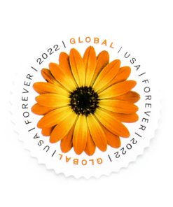 2022 US Global African Daisy First-Class Postage USPS Forever Stamps 100pcs/Pack (20PCS/Booklet)