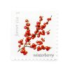 2019 US Winter Berries First-Class Postage USPS Forever Stamps 100pcs/Pack (20PCS/Booklet)