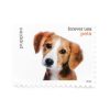 2016 US Pets First-Class Postage First-Class Postage USPS Forever Stamps 100pcs/Pack (20PCS/Booklet)