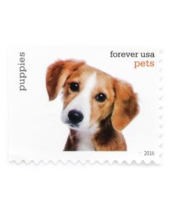 2016 US Pets First-Class Postage First-Class Postage USPS Forever Stamps 100pcs/Pack (20PCS/Booklet)