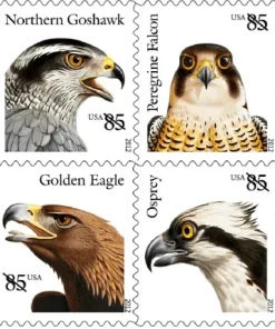 BIRDS OF PREY Forever Stamps First-Class Postage USPS Forever Stamps 100pcs/Pack (20PCS/Booklet)