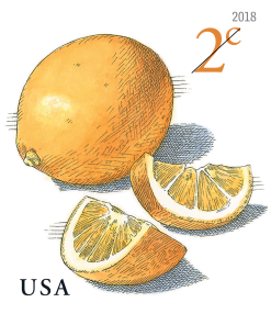 Meyer Lemons 2C Forever Stamps First-Class Postage USPS Forever Stamps 100pcs/Pack (20PCS/Booklet)