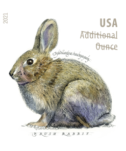 Brush Rabbit Design Additional Ounce Forever Stamps First-Class Postage USPS Forever Stamps 100pcs/Pack (20PCS/Booklet)