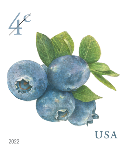 2022 4c Blueberries First-Class Postage USPS Forever Stamps 100pcs/Pack (20PCS/Booklet)