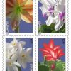 2014 Winter Flowers Forever Stamps First-Class Postage USPS Forever Stamps 100pcs/Pack (20PCS/Booklet)