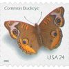 2006 Buckeye Butterfly First-Class Postage USPS Forever Stamps 100pcs/Pack (20PCS/Booklet)
