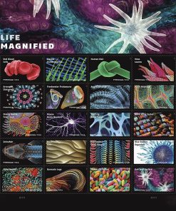 Life Magnified Explores Life on Earth (Red Blood Cells, Macaw Parrot Feather, Human Hair, Moss Leaves, Arranged diatoms, Acorn Barnacle) 2023 First-Class Mail Postage Stamps 100pcs/Pack (20PCS/Booklet)