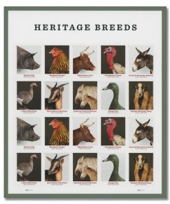 Heritage Breeds First-Class Postage USPS Forever Stamps 100pcs/Pack (20PCS/Booklet)